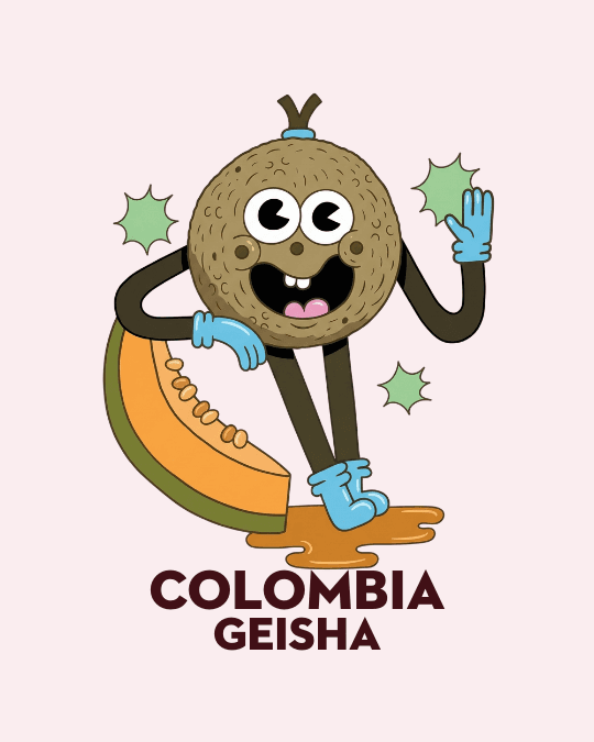 Colombia Geisha specialty coffee beans